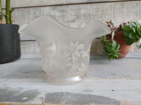 Grande Tulipe Lampe P�trole Verre Saint Louis Art Nouveau 240 Loches (37)