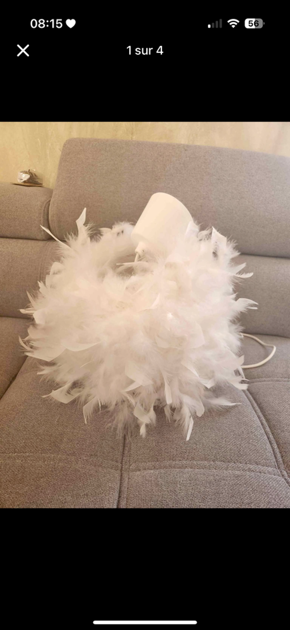 Luste plume Décoration