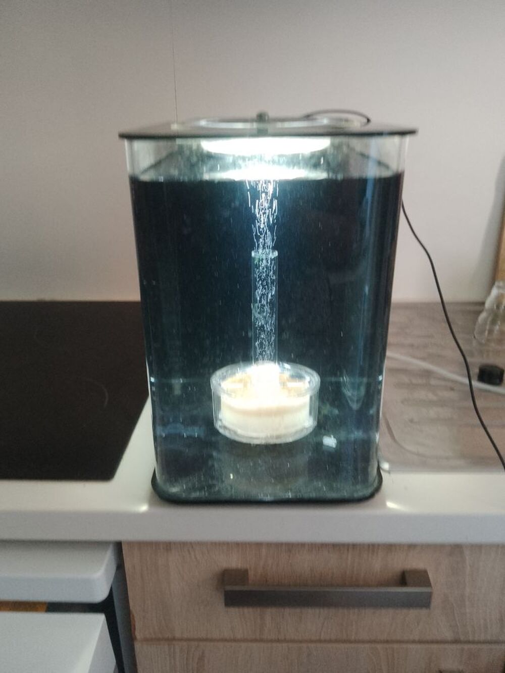 aquarium 20 l Décoration