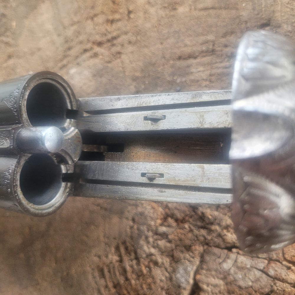  Objets chasse / Boutons / Taxidermie 