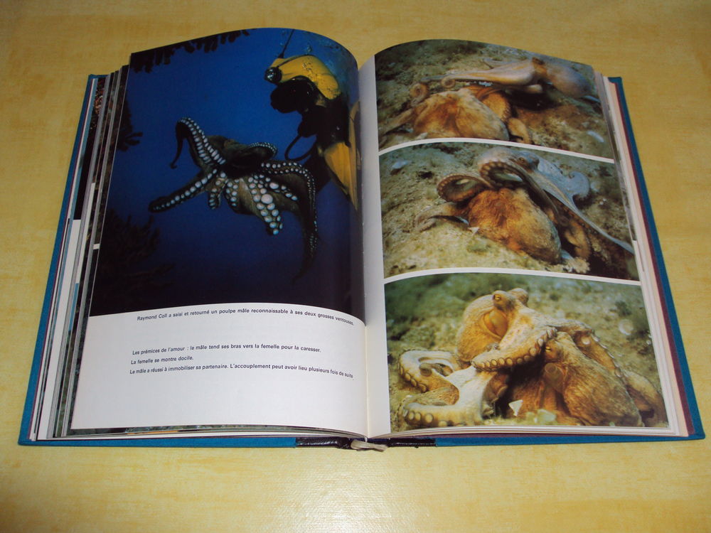 Collection COUSTEAU Livres et BD