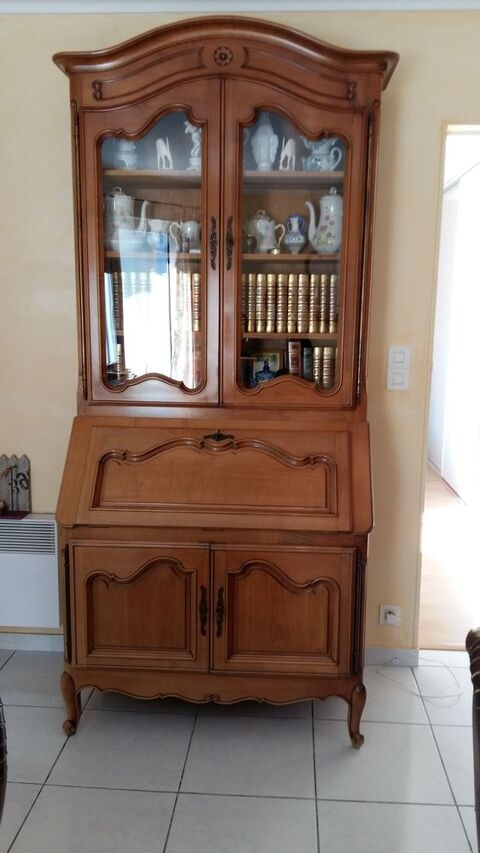 scriban 300 Saint-Vincent-de-Paul (40)