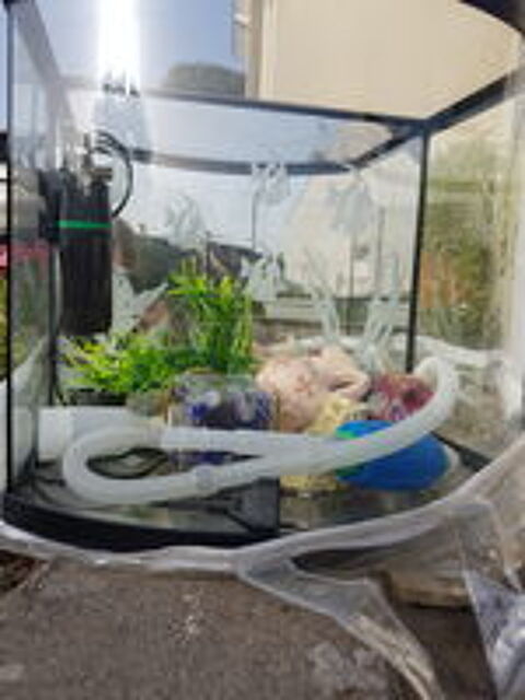   Aquarium équipé et accessoirisé 