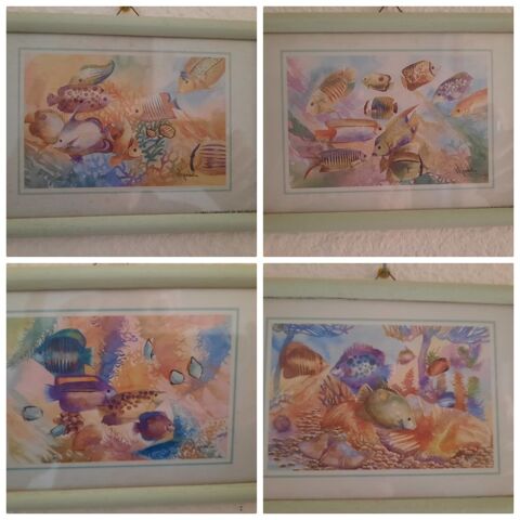 4 cadres DECO 8 Perpignan (66)