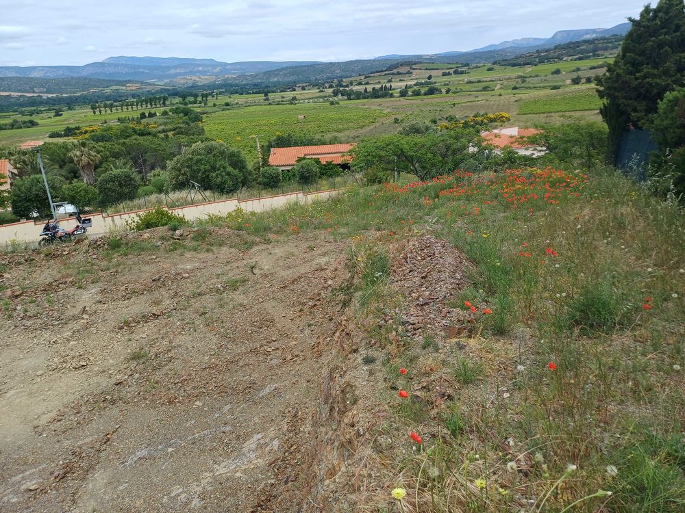 Vente Terrain terrain constructible pour 2 maisons Montner