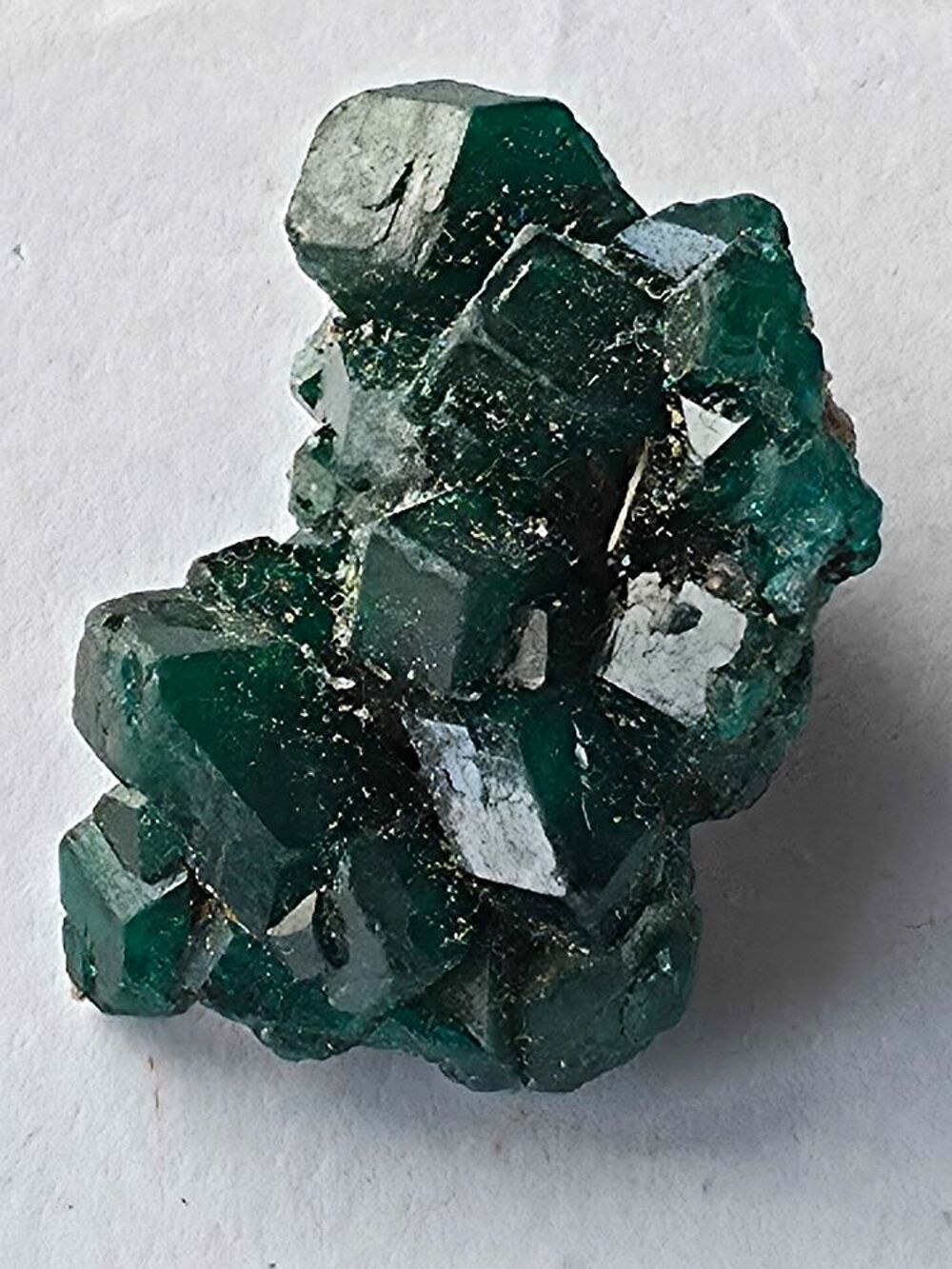 Min&eacute;ral de Collection : Dioptase brute sur matrice naturelle-14g 