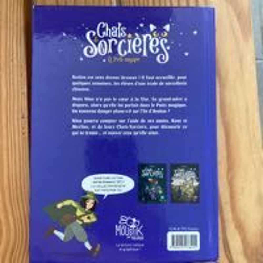 Livre Chats et sorci&egrave;res Livres et BD
