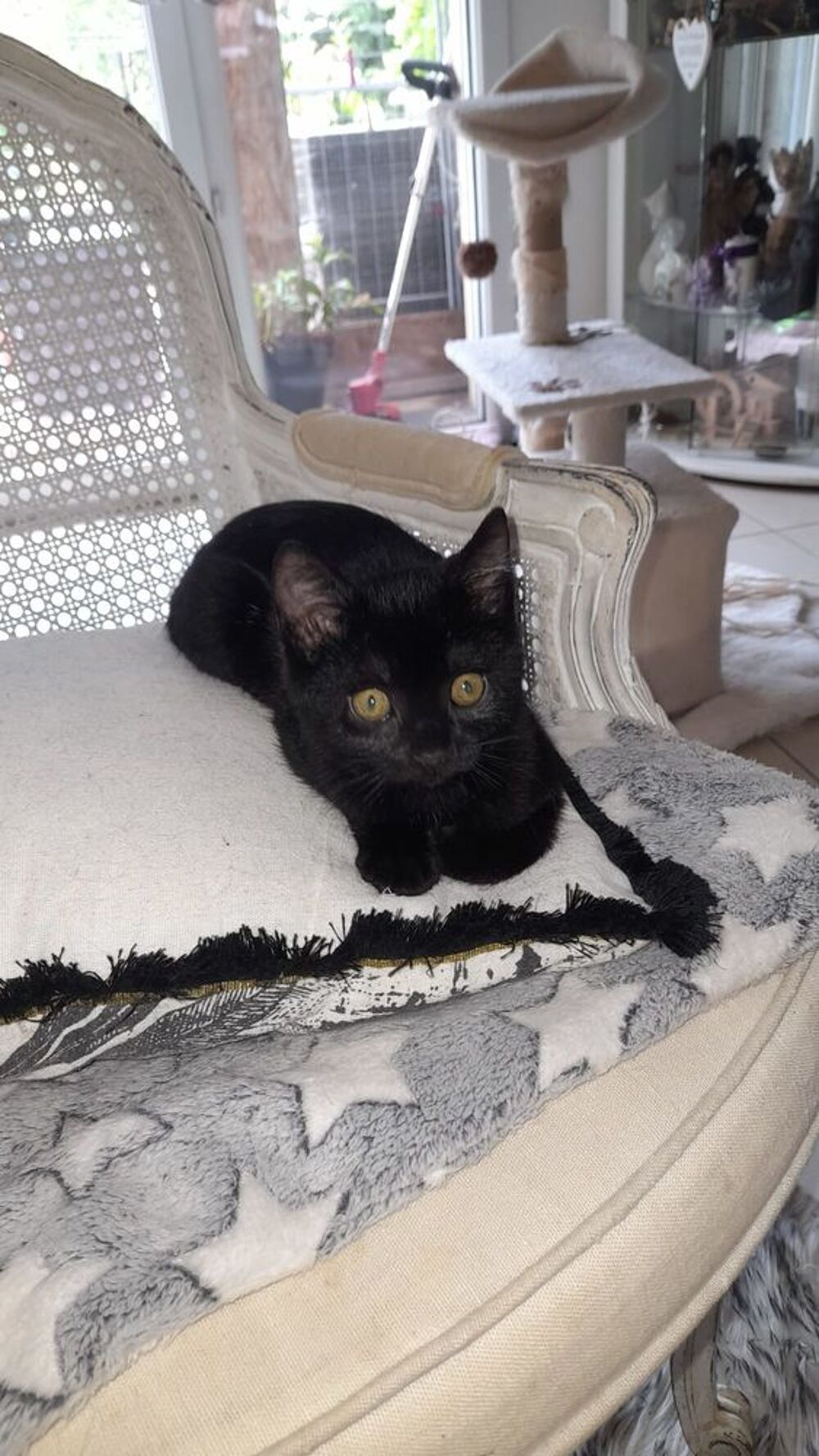   BOOBA 