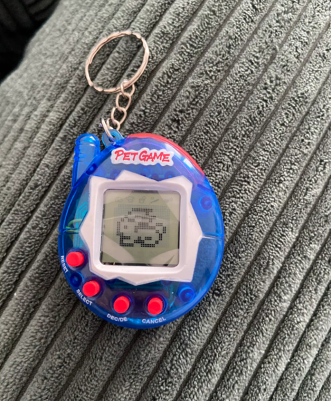 Tamagotchi (Version Bleu)
5 Baie-Mahault (97)