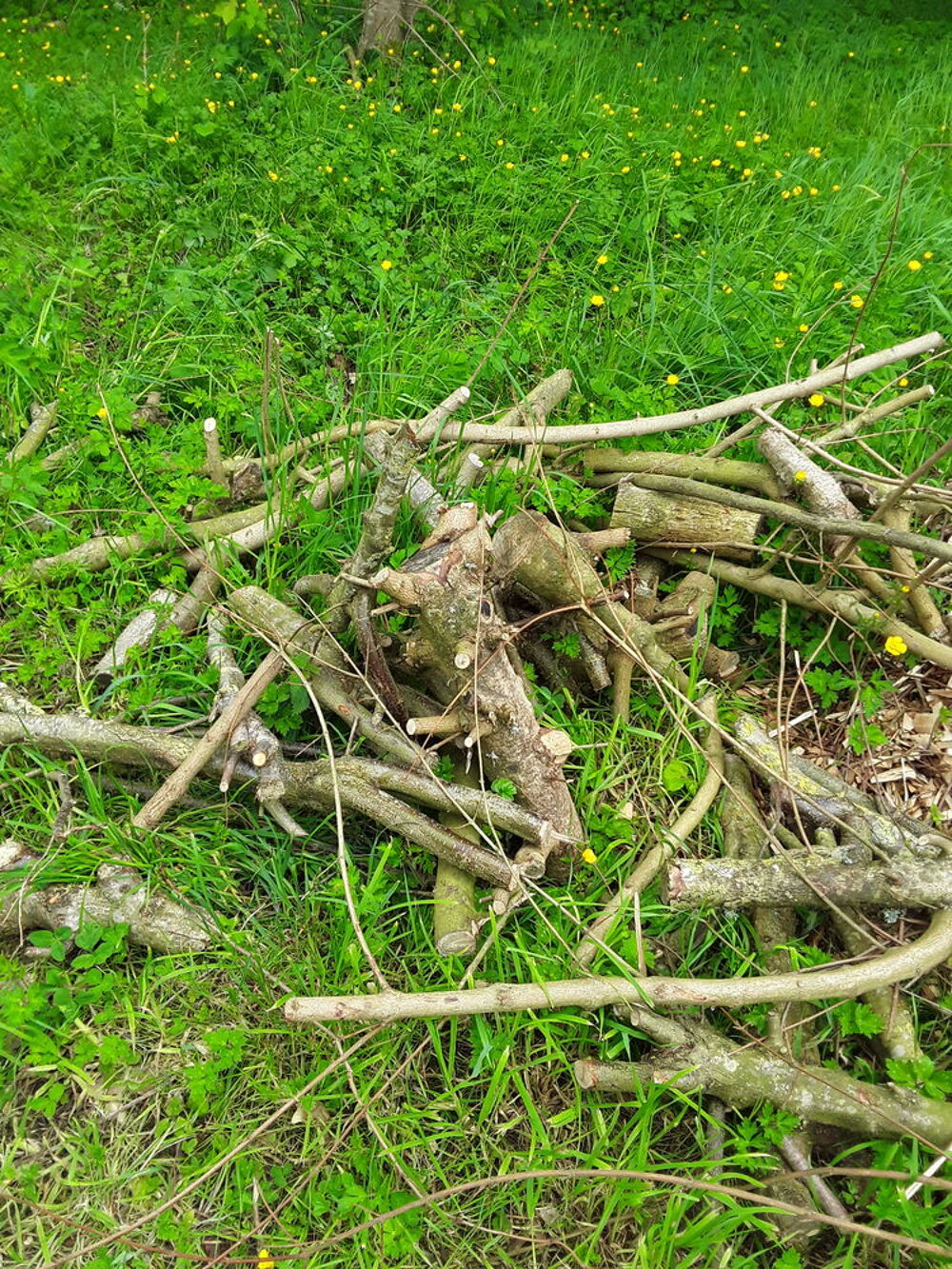 Don bois Jardin