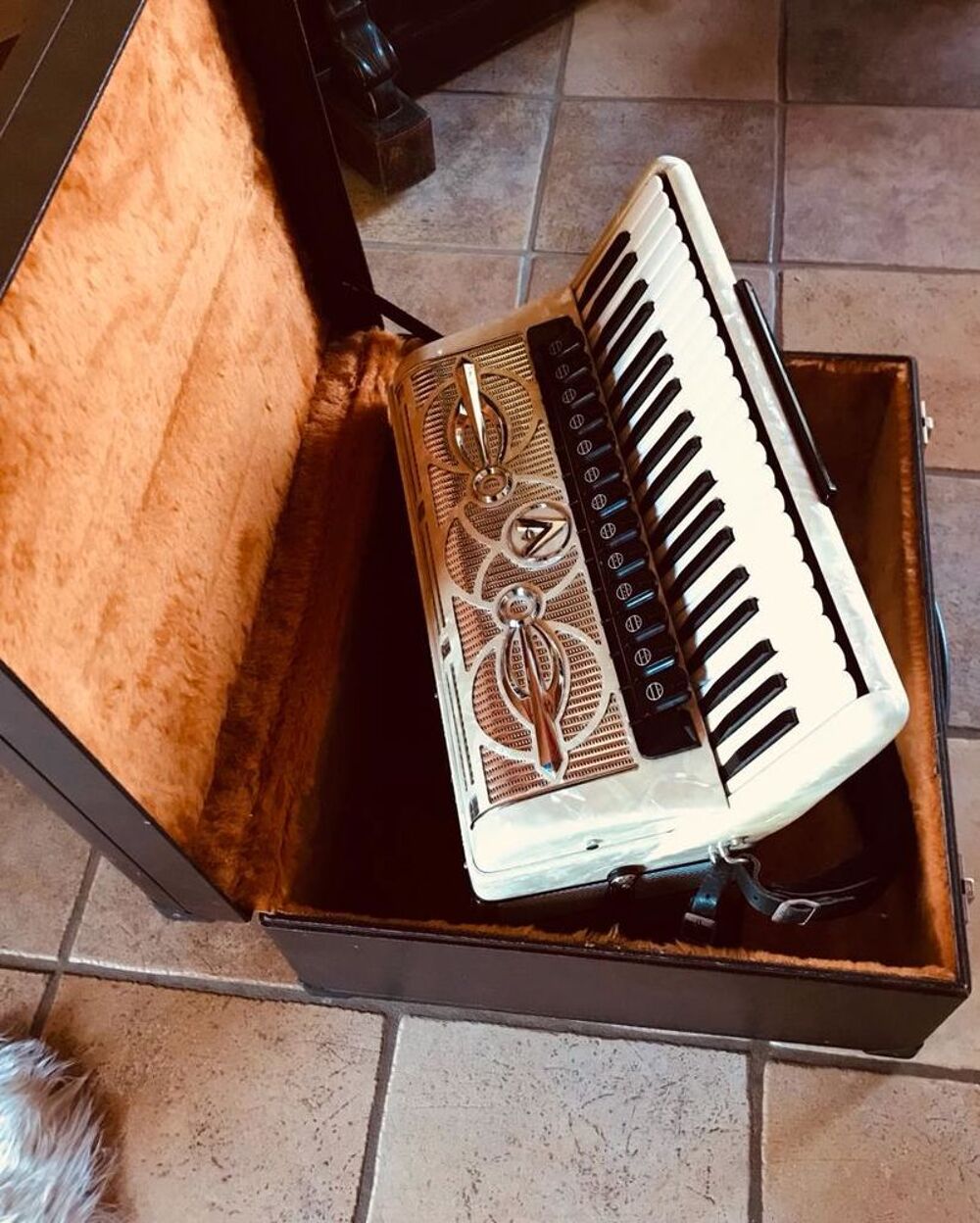 Accord&eacute;on ACCORDIOLA italy Instruments de musique