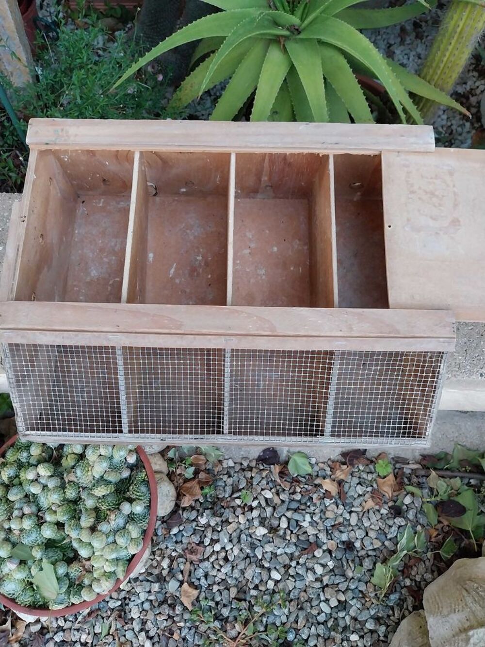 cage de transport pour animaux Bricolage