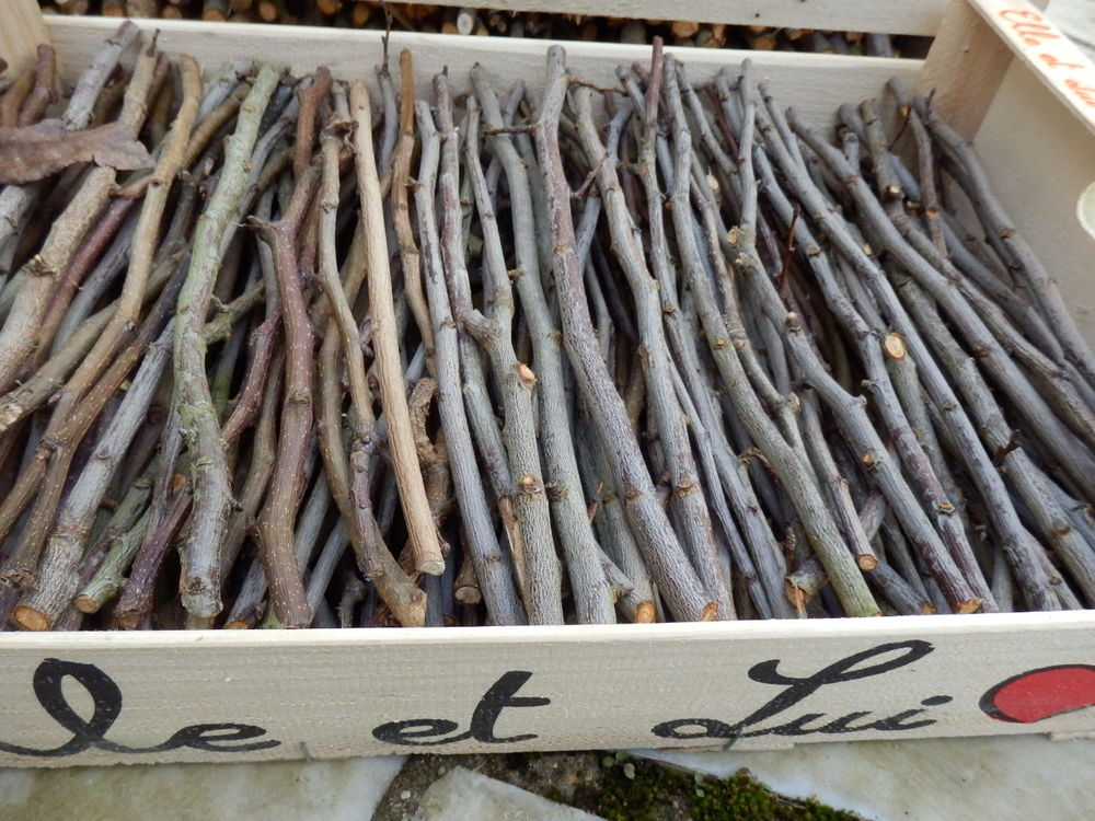 Bois pour allumer la chemin&eacute;e ou le BBQ (poirier, prunier) - Jardin