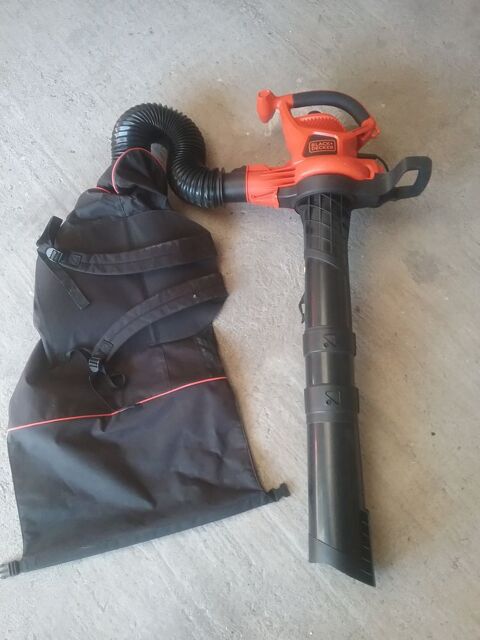 Aspirateur portable à feuilles 40 Biganos (33)