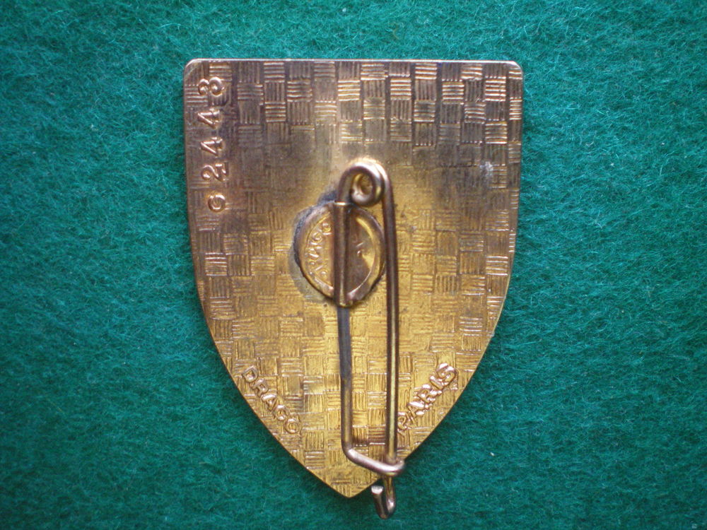 Insigne de Sant&eacute; - M.G.S.S.38 Magasin G&eacute;n&eacute;ral Service Sant&eacute;. 