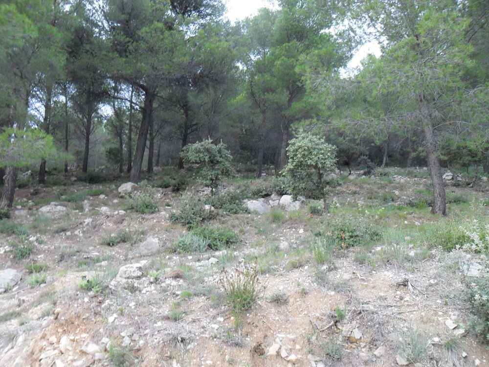 Vente Terrain TERRAIN de 4,38 HA VUE MER La valette-du-var