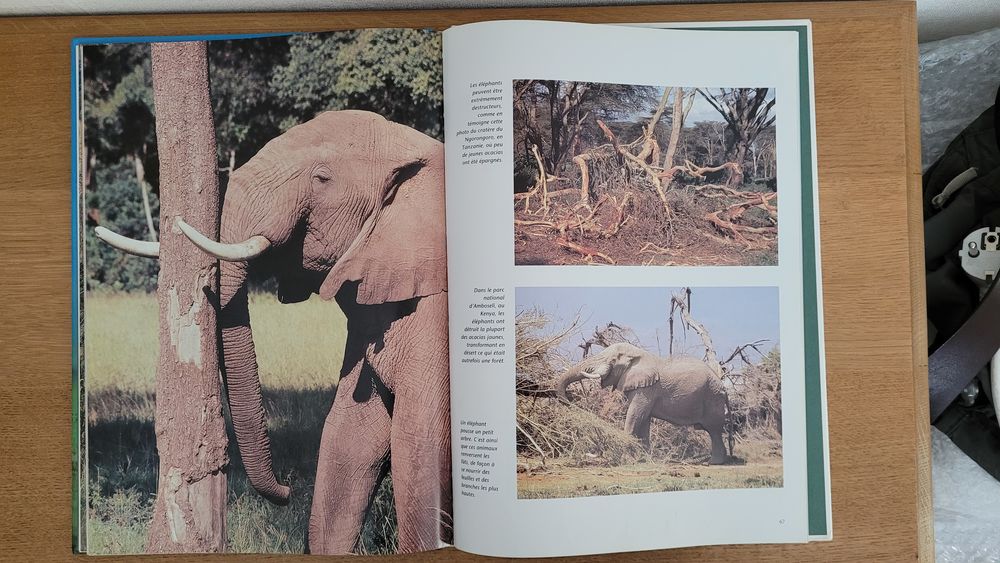 4 livres animaliers &eacute;l&eacute;phants, oiseaux, mammif&egrave;res, autres? Livres et BD