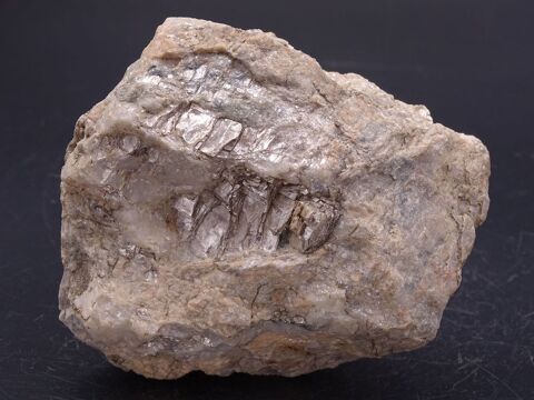 Mica , Barrage de Malpasset , Frjus , Var , France 481gr 24 Moyenmoutier (88)
