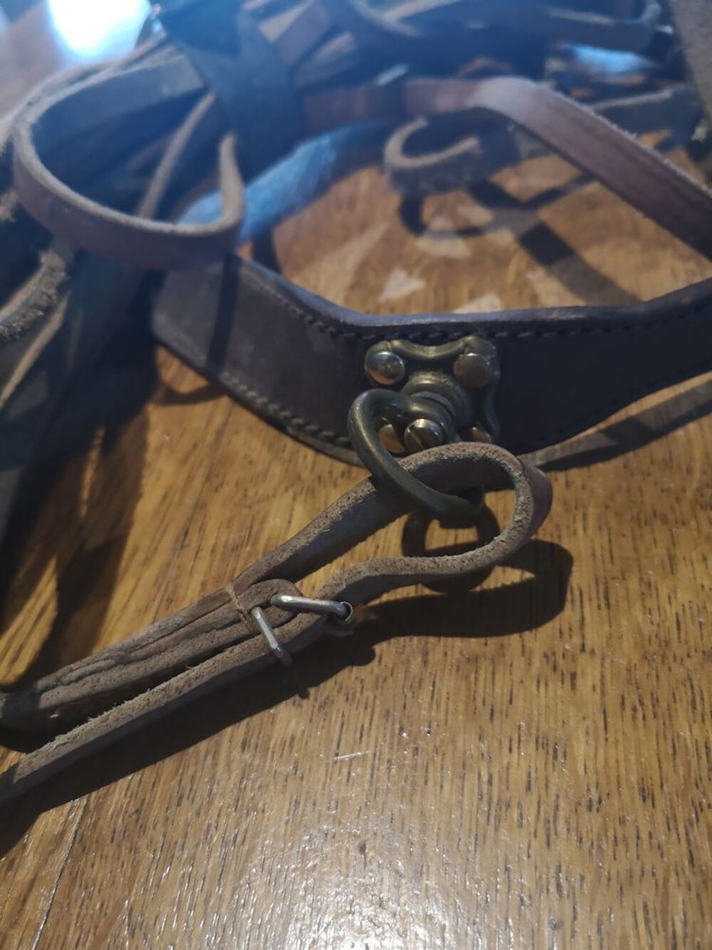 Longe 10 m et collier cuir chien de sang.
Sports