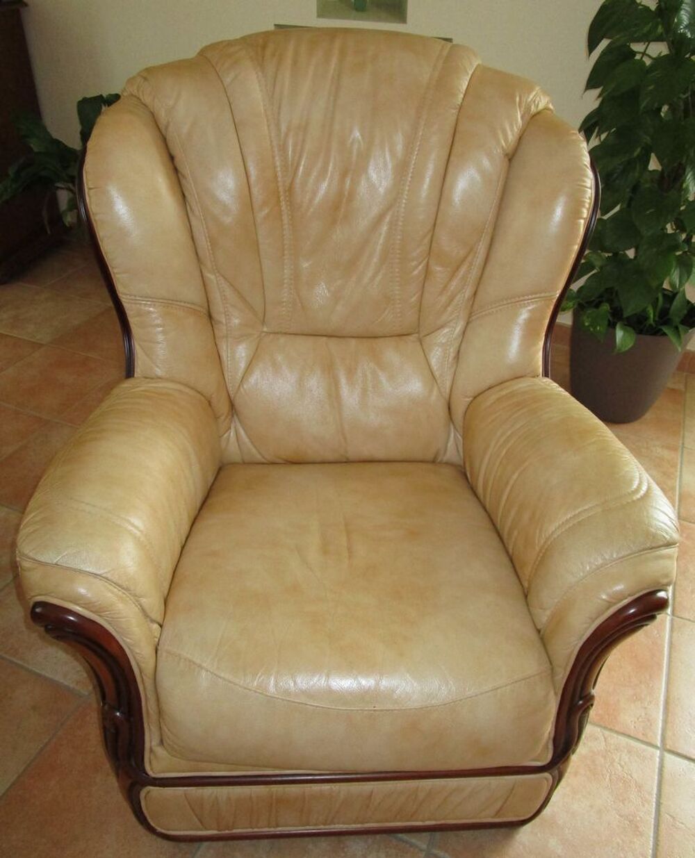 Fauteuil cuir Meubles