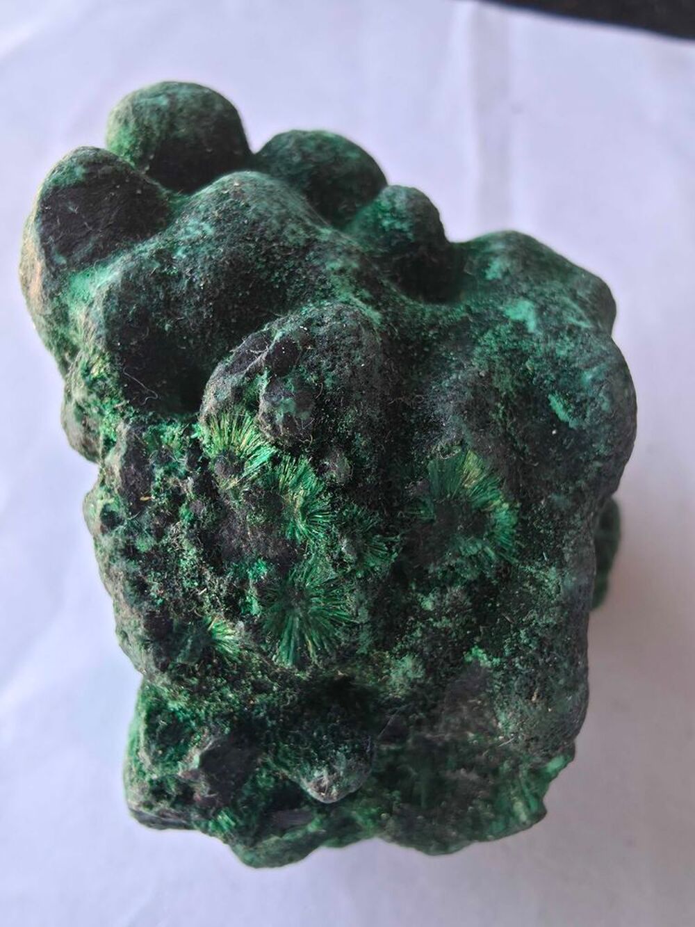 Rare Malachite Fibreuse Velout&eacute;e Katanga RDC-Collection 193g 