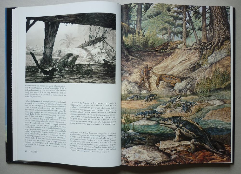 LES DINOSAURES Sylvia et Stephen Czerkas &Eacute;dit. ATLAS 1990) Livres et BD