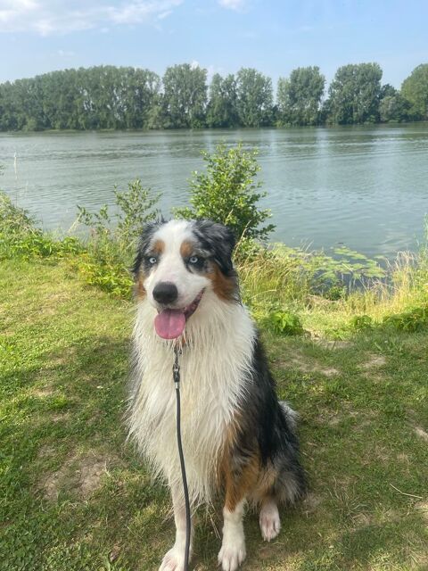 Contre bon soins 0 01600 Tr�voux