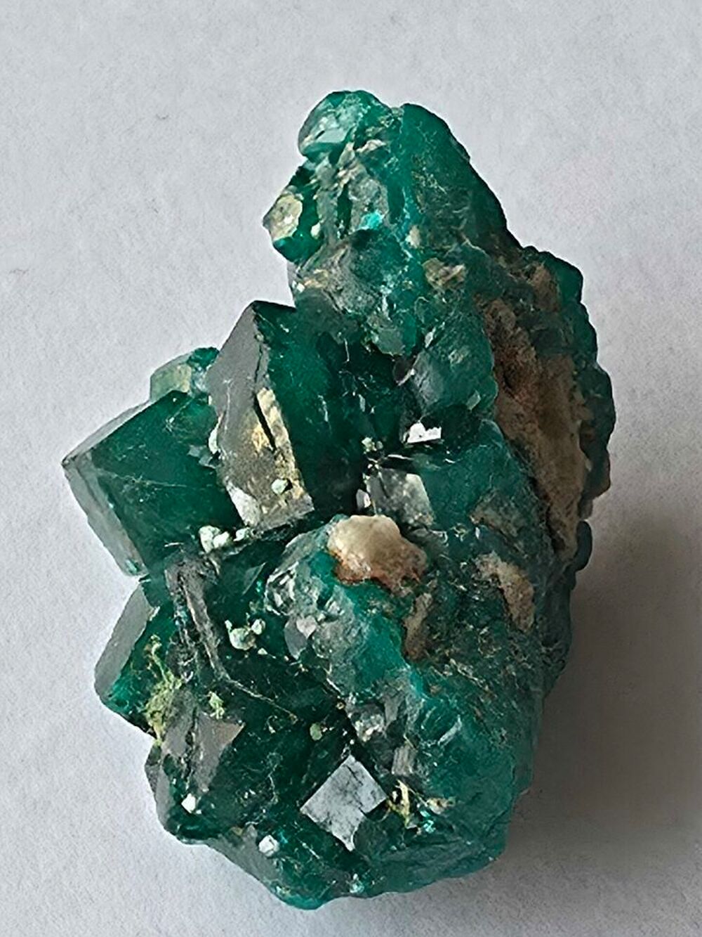 Dioptase sur Matrice-Katanga, RDC (5g) 