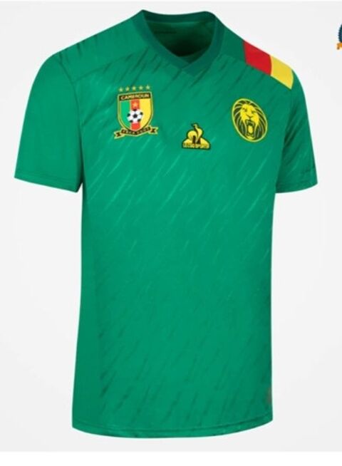 maillot foot Cameroun 31 Cerdon (01)