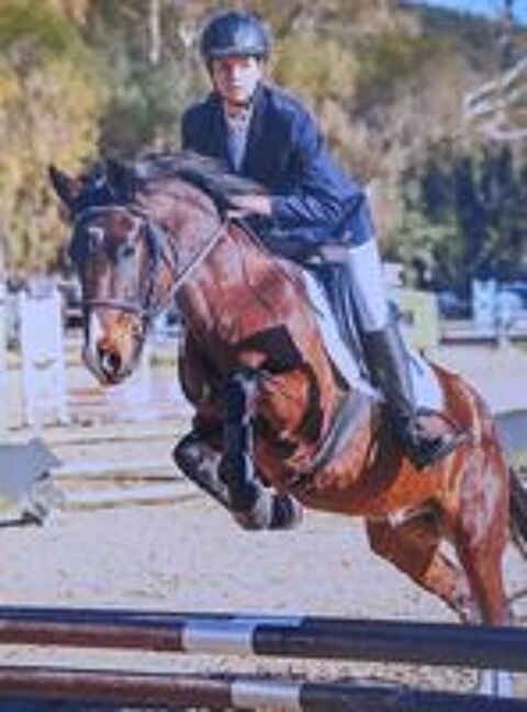   EQUI-GYM
centre equestre a ELNE 