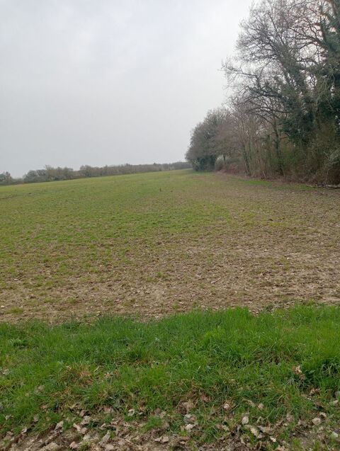 terrain agricole   49630 Corn�