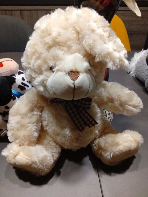 Lapin fris� blanc 10 Courdimanche-sur-Essonne (91)