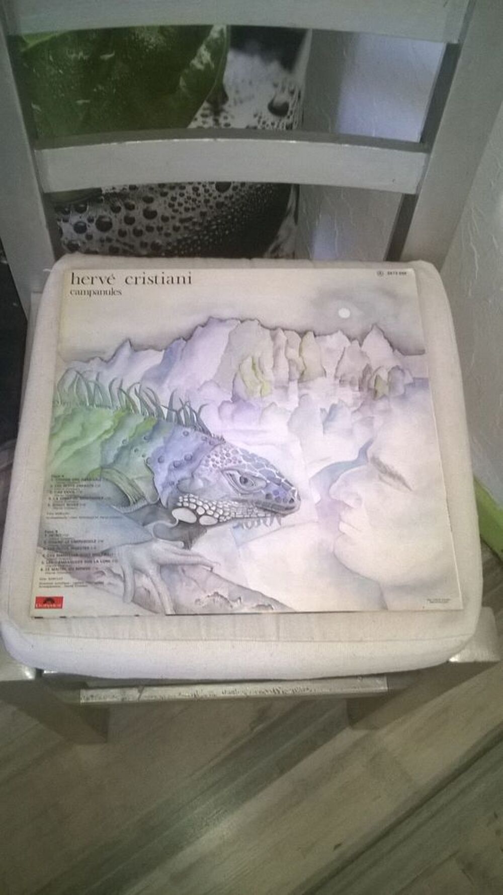 Vinyle Herv&eacute; Cristiani
Campanules
1976
Excellent etat
Co CD et vinyles
