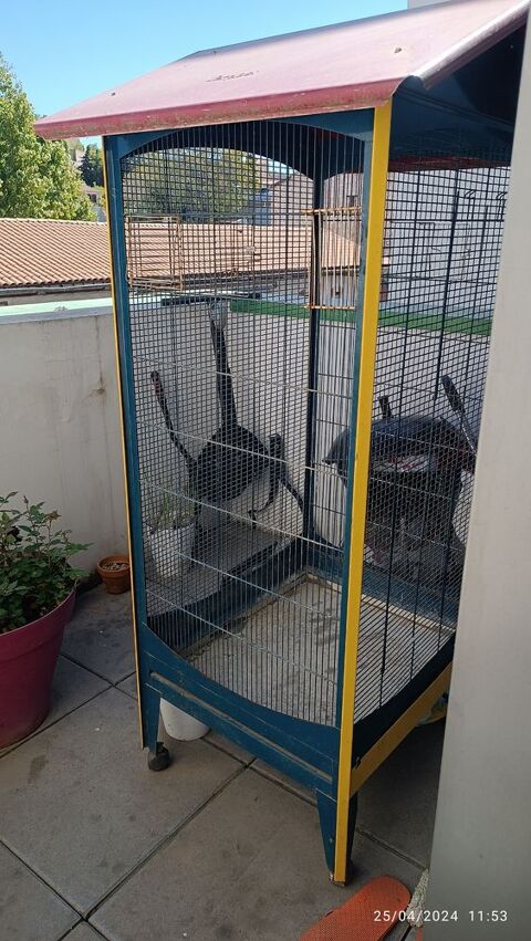 Cage oiseaux 80 13003 Marseille