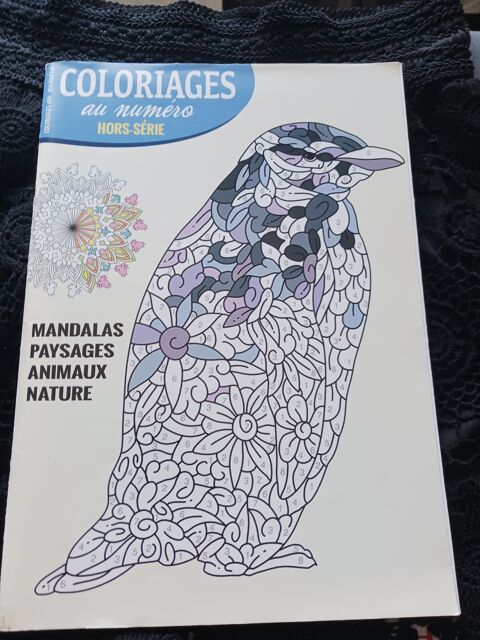 loisirs adulte 1 Thourotte (60)