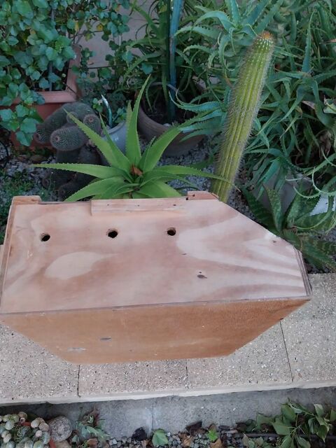 cage de transport pour animaux 15 Saint-Jean-du-Falga (09)