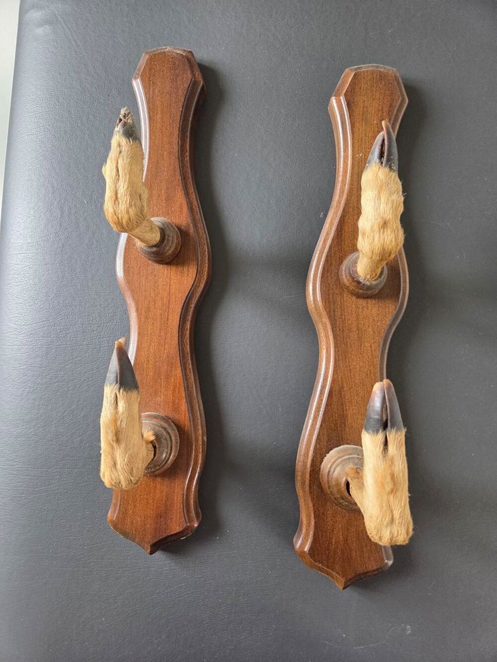 pates de chevreuil Décoration