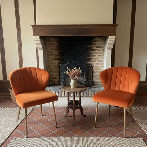 2 chaises de Salle � Manger Modernes en Velours 100 Cond�-sur-Risle (27)