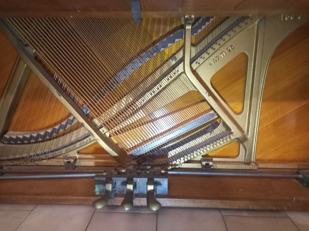 PIANO Instruments de musique