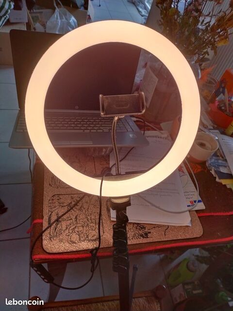 Anneau lead selfie 10 Saint-Pierre-en-Faucigny (74)