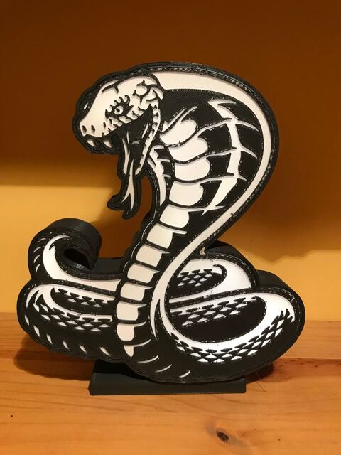 Lampe COBRA SERPENT clairage leds  piles 29 Vorey (43)
