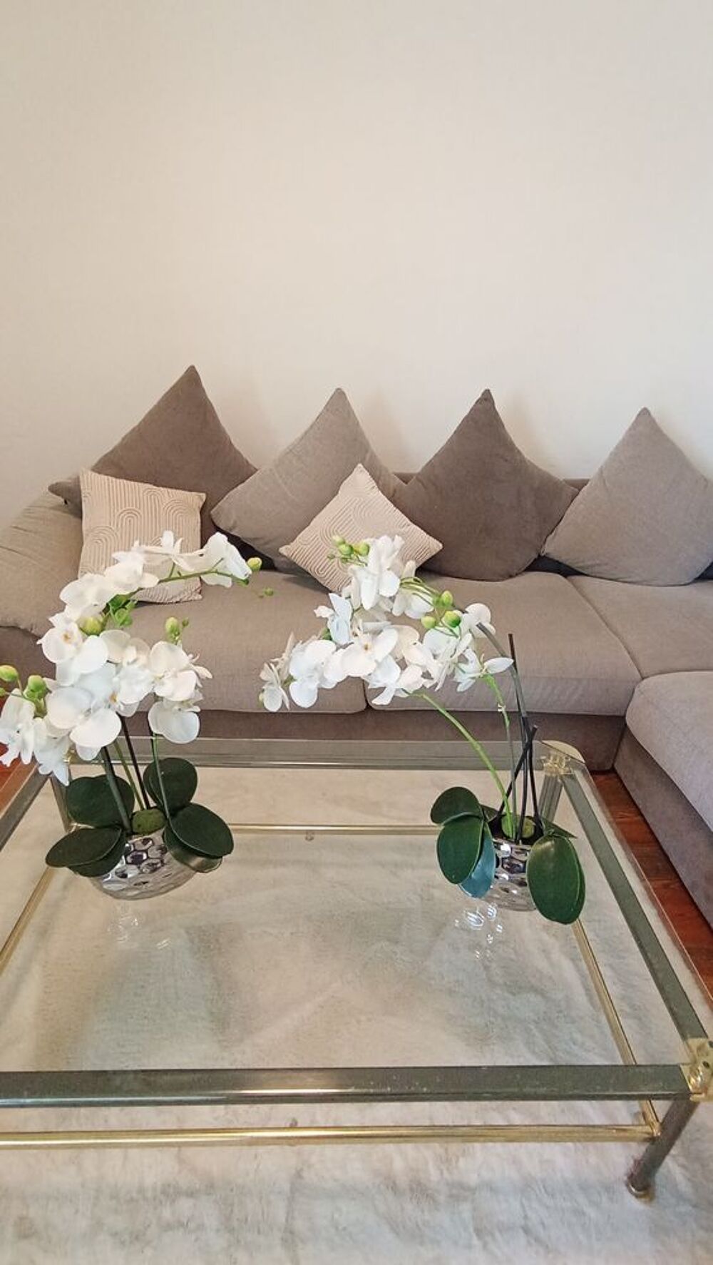 Orchid&eacute;e en plastique Décoration