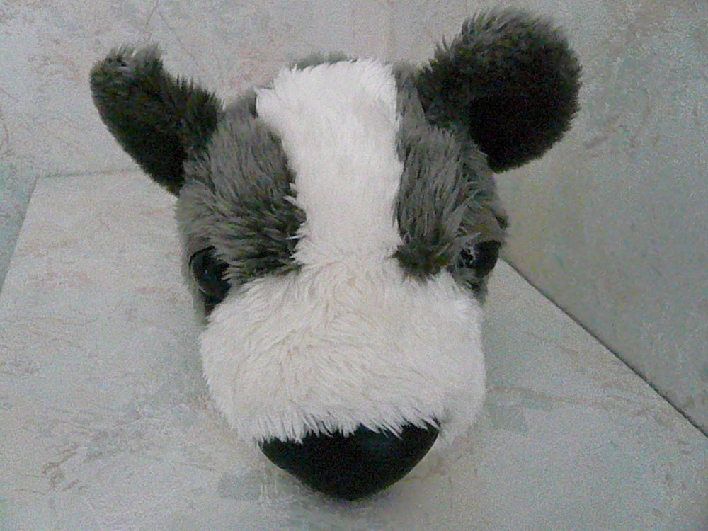Peluche Big Headz " Epagneul papillon " Jeux / jouets