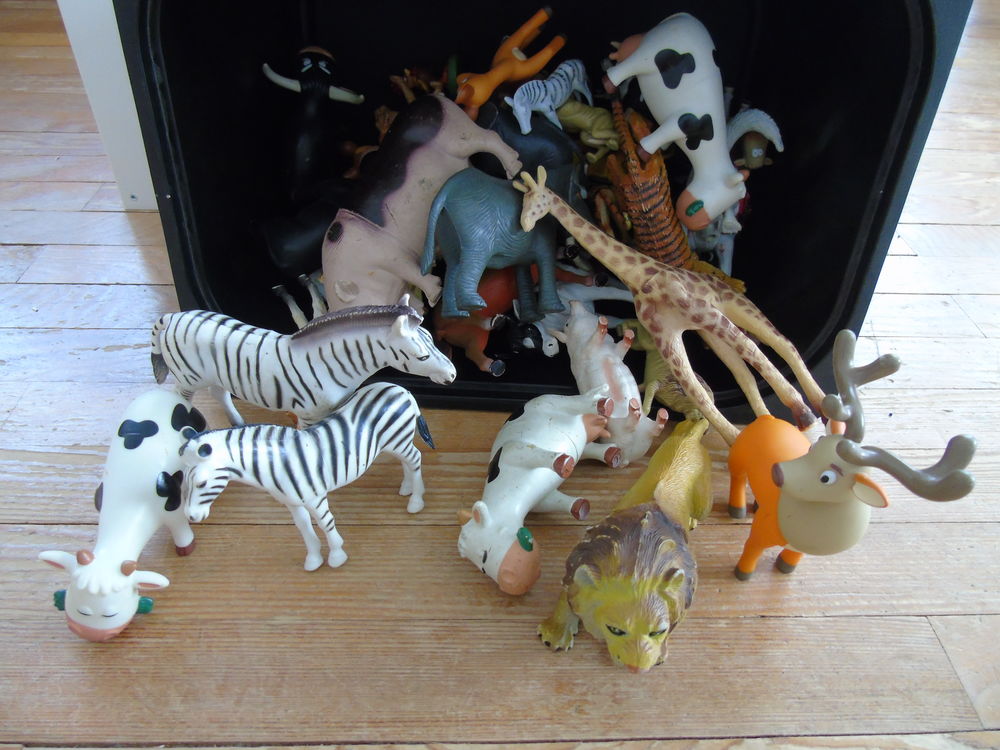 Animaux divers Jeux / jouets