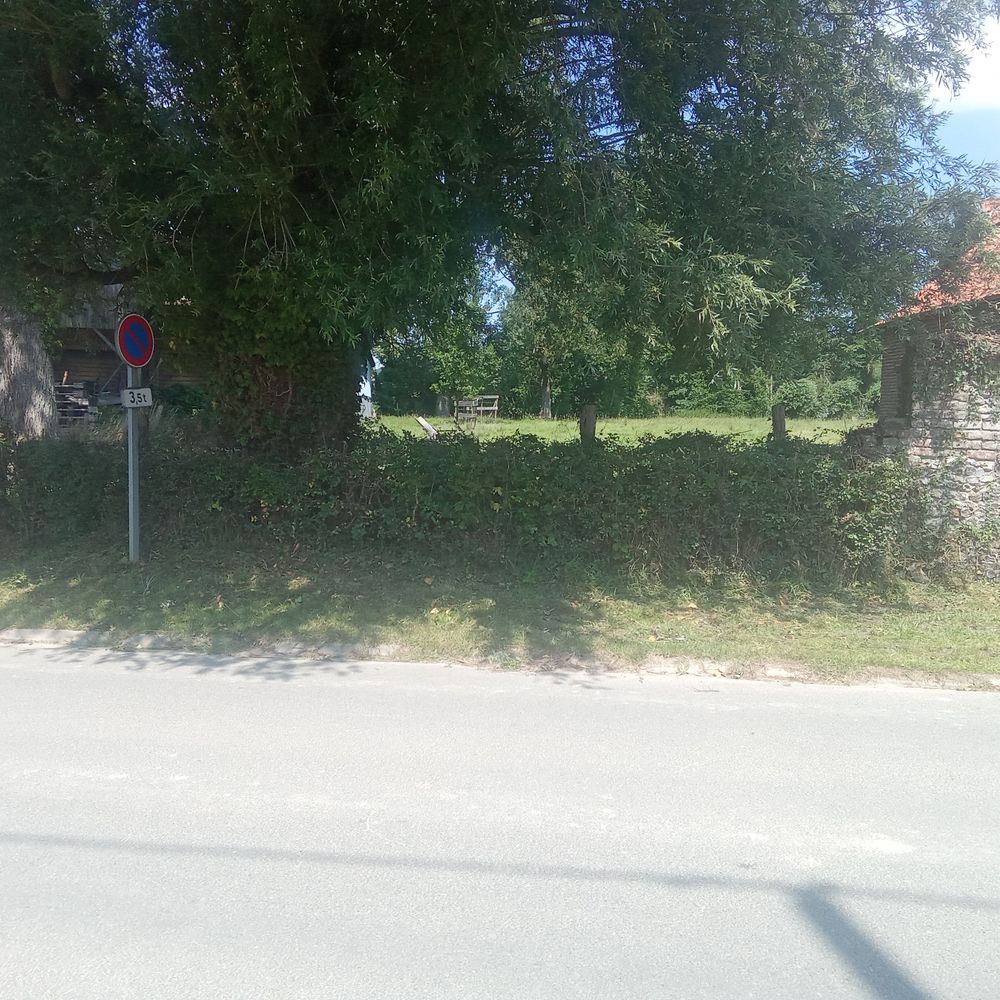   Coupe d'arbre
Débroussaillage 
Taille de haie  