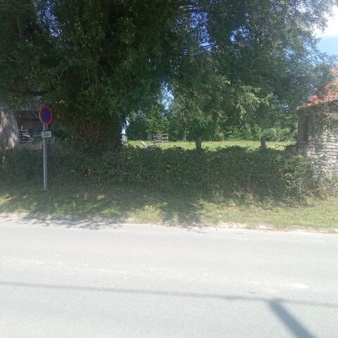 Coupe d'arbre
Débroussaillage 
Taille de haie 0 62170 Aix-en-issart