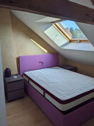  Colocation à louer 3 pièces 50 m²