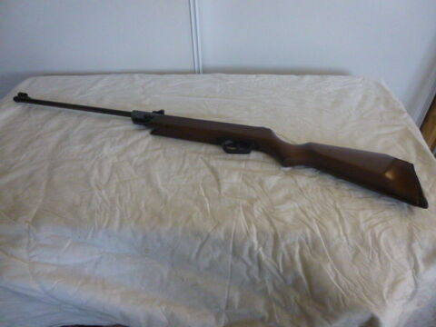 Carabine � air comprim� 50 Saint-Astier (24)