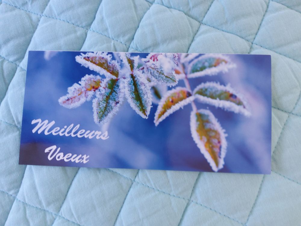 CARTES "Joyeuses F&ecirc;tes" 
