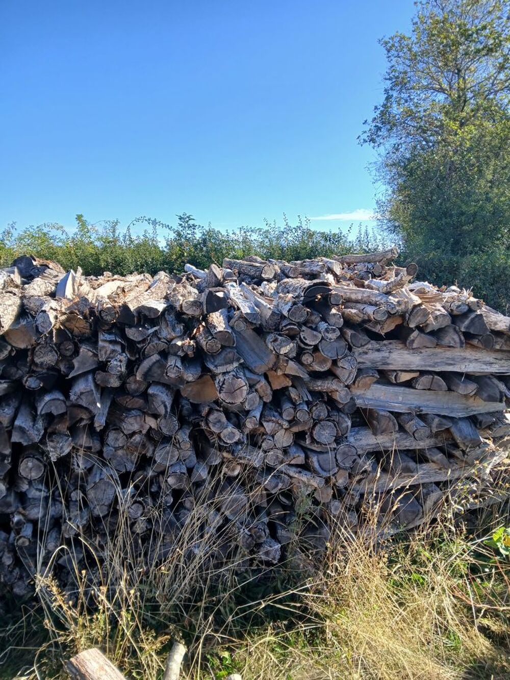 BOIS DE CHAUFFAGE Jardin